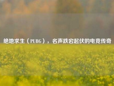绝地求生（PUBG），名声跌宕起伏的电竞传奇