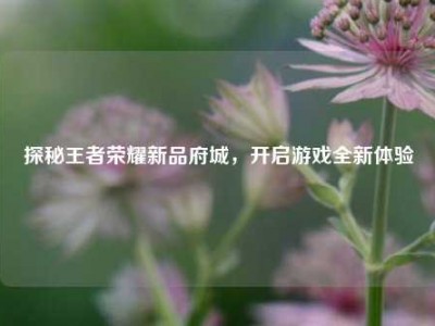 探秘王者荣耀新品府城，开启游戏全新体验