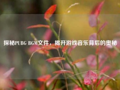 探秘PUBG BGM文件，揭开游戏音乐背后的奥秘
