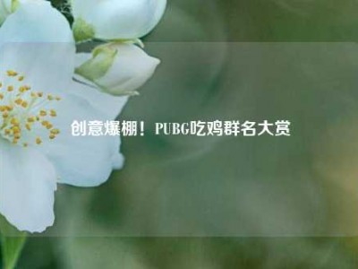 创意爆棚！PUBG吃鸡群名大赏