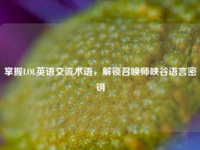 掌握LOL英语交流术语，解锁召唤师峡谷语言密钥