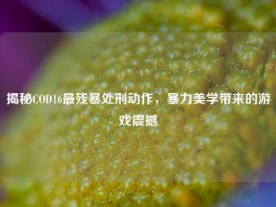 揭秘COD16最残暴处刑动作，暴力美学带来的游戏震撼