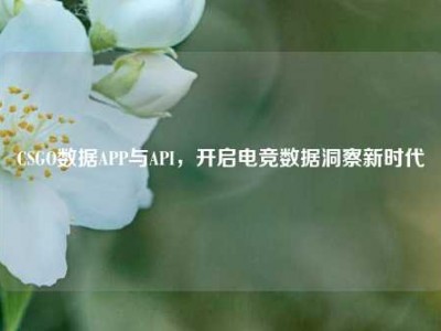 CSGO数据APP与API，开启电竞数据洞察新时代