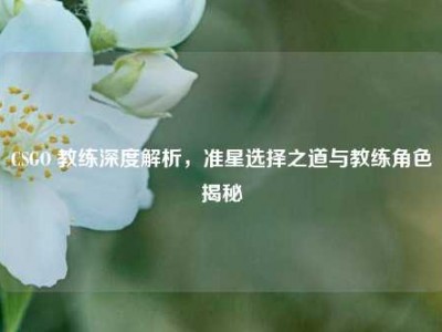 CSGO 教练深度解析，准星选择之道与教练角色揭秘