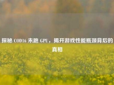 探秘 COD16 未跑 GPU，揭开游戏性能瓶颈背后的真相