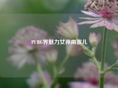 PUBG界魅力女神南波儿
