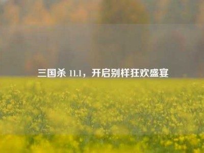 三国杀 11.1，开启别样狂欢盛宴