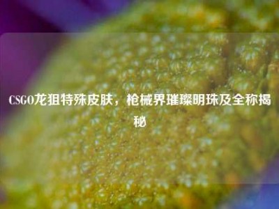 CSGO龙狙特殊皮肤，枪械界璀璨明珠及全称揭秘