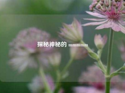 探秘神秘的 mmmmm