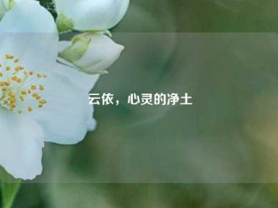 云依，心灵的净土