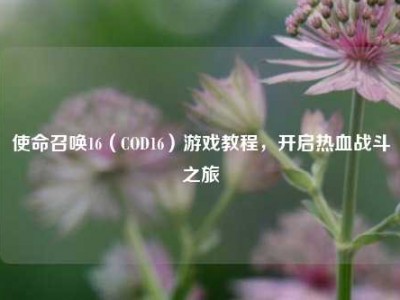 使命召唤16（COD16）游戏教程，开启热血战斗之旅