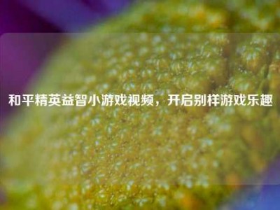 和平精英益智小游戏视频，开启别样游戏乐趣