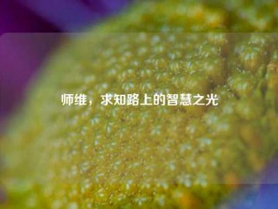 师维，求知路上的智慧之光