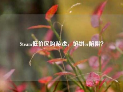 Steam低价区购游戏，馅饼or陷阱？