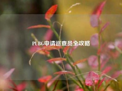 PUBG申请巡查员全攻略