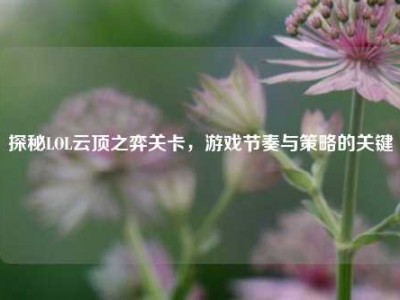 探秘LOL云顶之弈关卡，游戏节奏与策略的关键