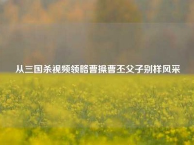 从三国杀视频领略曹操曹丕父子别样风采