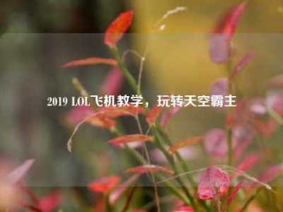 2019 LOL飞机教学，玩转天空霸主
