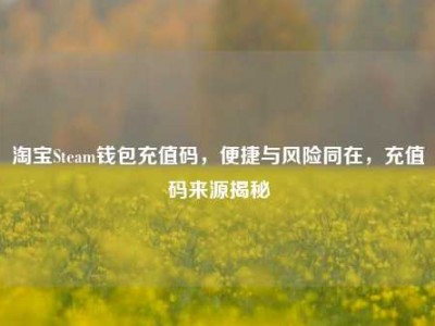 淘宝Steam钱包充值码，便捷与风险同在，充值码来源揭秘