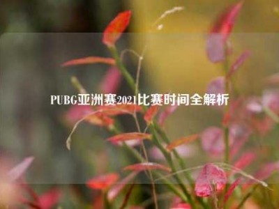 PUBG亚洲赛2021比赛时间全解析