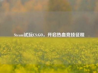 Steam试玩CS:GO，开启热血竞技征程