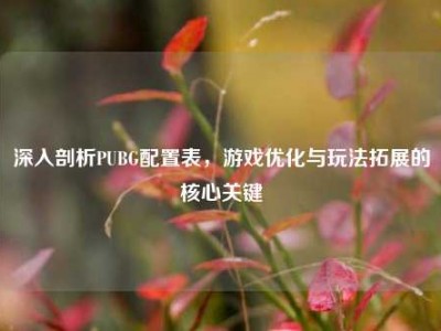 深入剖析PUBG配置表，游戏优化与玩法拓展的核心关键
