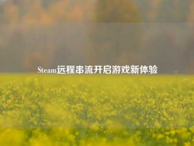Steam远程串流开启游戏新体验