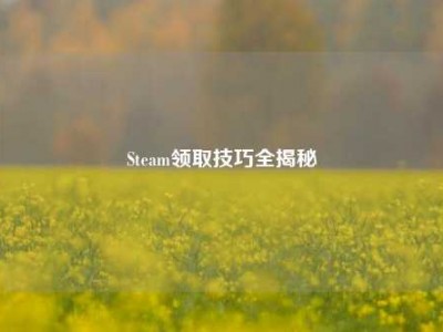 Steam领取技巧全揭秘