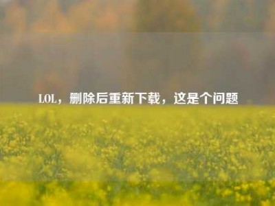 LOL，删除后重新下载，这是个问题