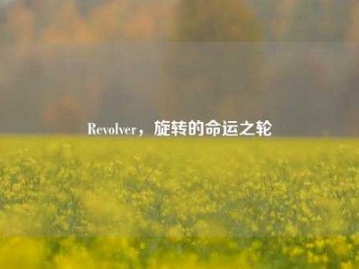 Revolver，旋转的命运之轮