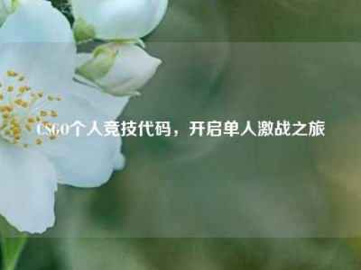 CSGO个人竞技代码，开启单人激战之旅