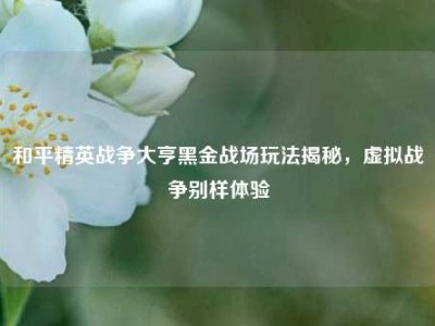 和平精英战争大亨黑金战场玩法揭秘，虚拟战争别样体验