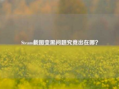Steam截图变黑问题究竟出在哪？