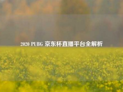 2020 PUBG 京东杯直播平台全解析
