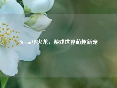 Steam小火龙，游戏世界萌趣新宠