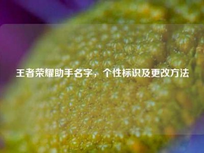 王者荣耀助手名字，个性标识及更改方法