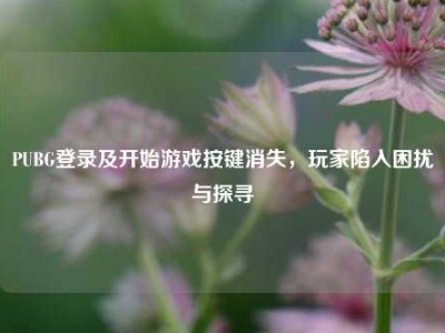 PUBG登录及开始游戏按键消失，玩家陷入困扰与探寻