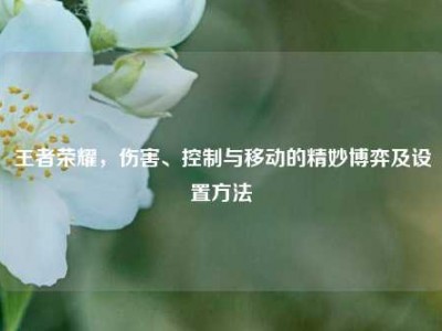 王者荣耀，伤害、控制与移动的精妙博弈及设置方法