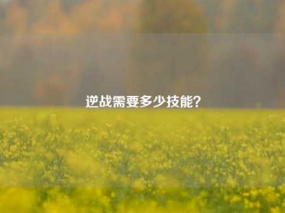 逆战需要多少技能？