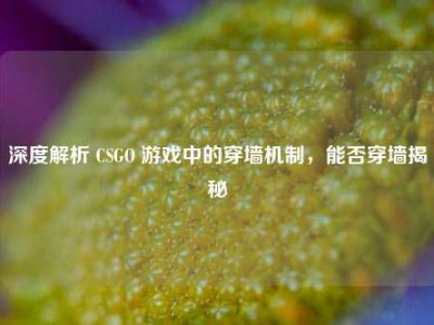 深度解析 CSGO 游戏中的穿墙机制，能否穿墙揭秘