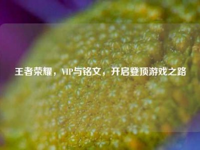 王者荣耀，VIP与铭文，开启登顶游戏之路