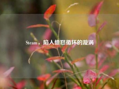 Steam，陷入愤怒循环的漩涡