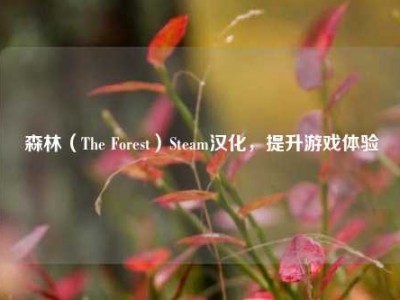 森林（The Forest）Steam汉化，提升游戏体验