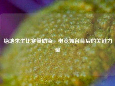绝地求生比赛赞助商，电竞舞台背后的关键力量