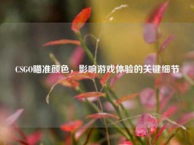 CSGO瞄准颜色，影响游戏体验的关键细节