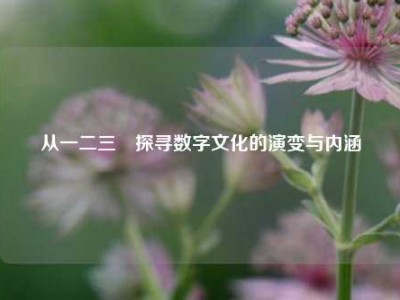 从一二三亖探寻数字文化的演变与内涵