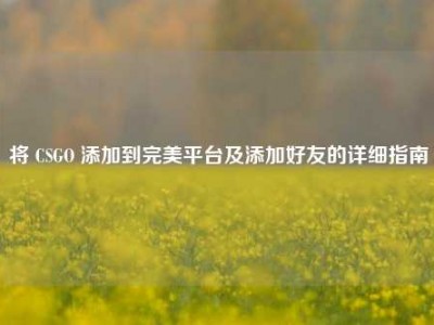 将 CSGO 添加到完美平台及添加好友的详细指南