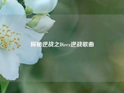 探秘逆战之Direx逆战歌曲