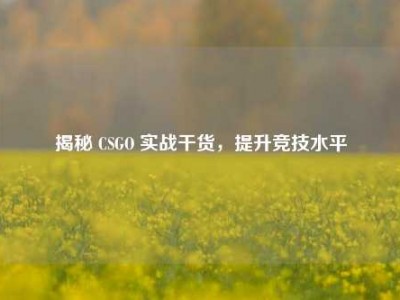 揭秘 CSGO 实战干货，提升竞技水平