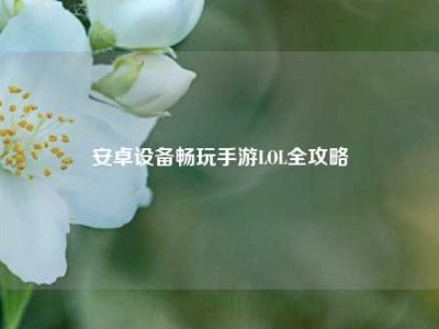 安卓设备畅玩手游LOL全攻略